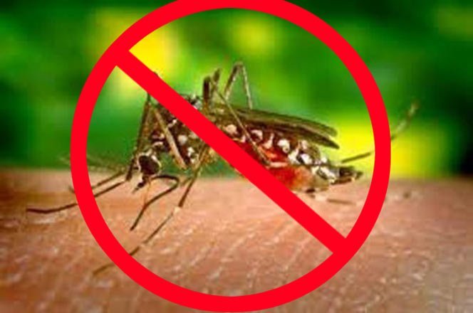 Rashrtiya Jagriti | कोविड-19 के बीच बढ़ी डेंगू और चिकनगुनिया की संभावना, रहें...