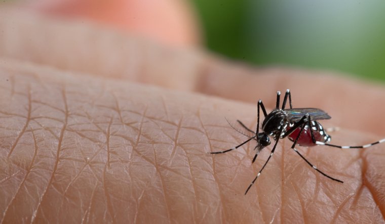 Rashrtiya Jagriti | डेंगू को लेकर रहें सतर्क, मच्छरों से करें अपना बचाव